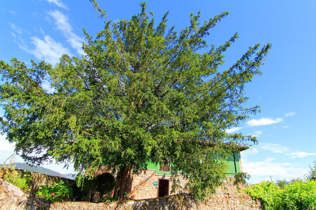 Hotel Rural Cuadroveña Dış mekan fotoğraf